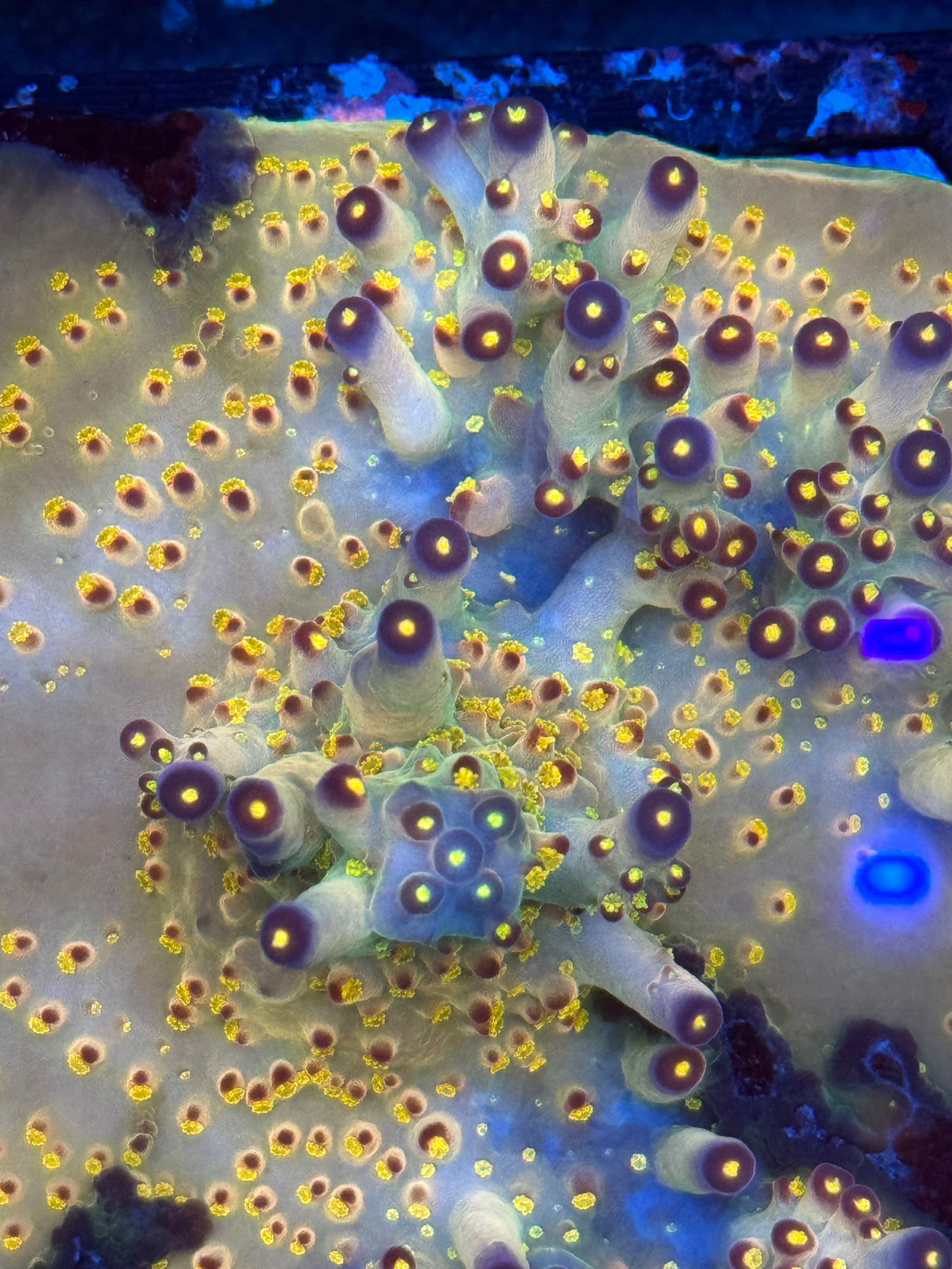 91778170_5 91778170_5