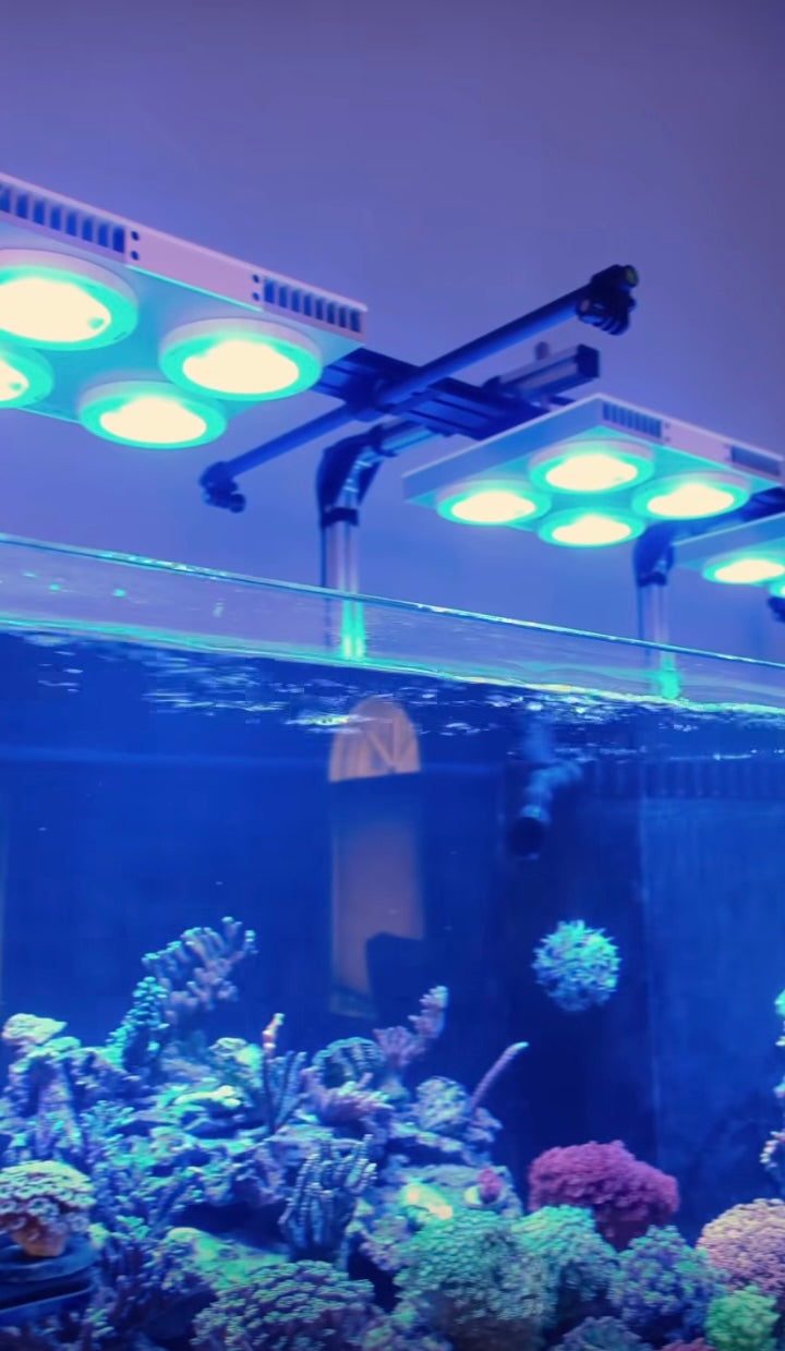 Hybrid mounting kit for strip lights