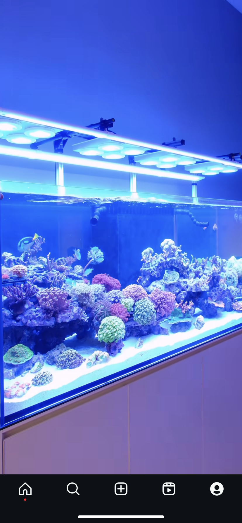 Hybrid mounting kit for strip lights