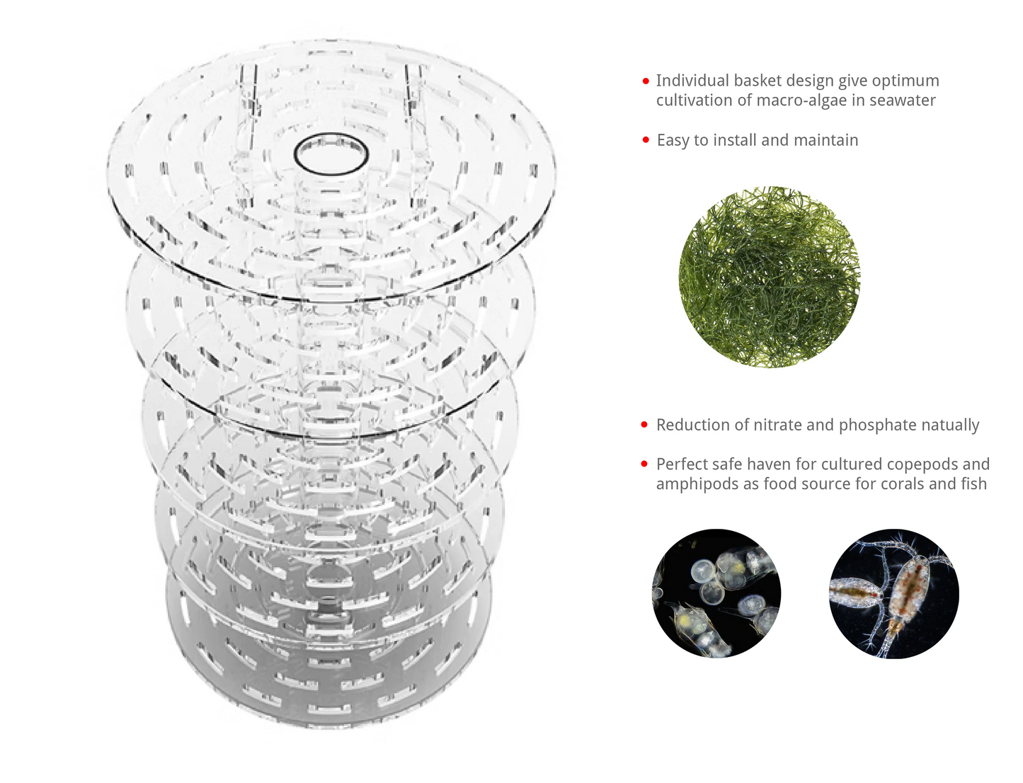 Macroalgae Reactor External