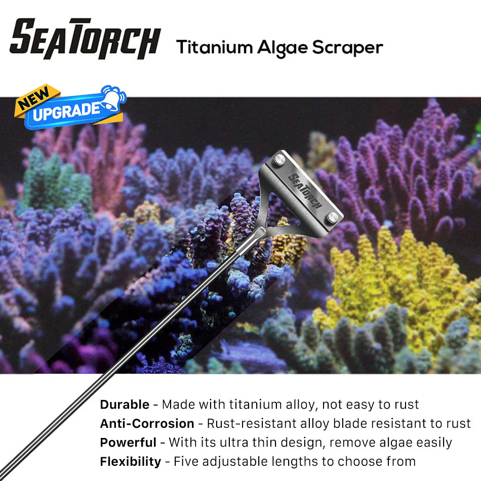 Titanium Scraper