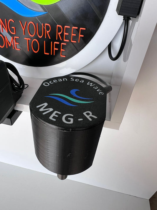 Meg R