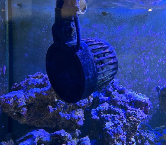 Octopulse Mount with adjustable angle